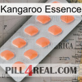 Kangaroo Essence 26